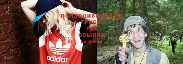mdpv Баксан